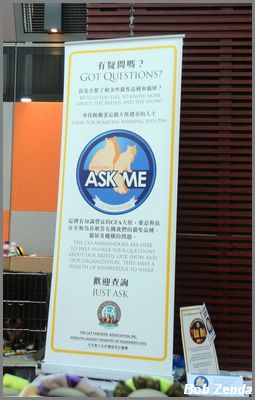 Ambassador Program Banner